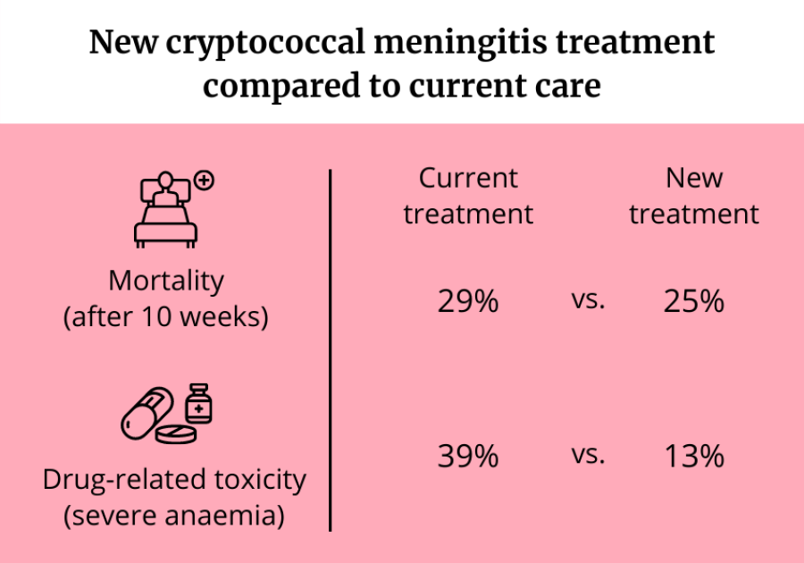 New cryptococcal meningitis treatment as good as current care with far